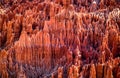 Red Tsingy. Typical landscape. Madagascar.