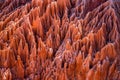 Red Tsingy. Typical landscape. Madagascar. Royalty Free Stock Photo