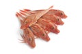 Red Tub gurnard fishes Royalty Free Stock Photo