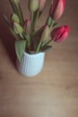 Red tulip flower bouquet blossoming on a white pot over a blurry wooden table