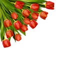 Red tulip flowers bouquet in a corner Royalty Free Stock Photo