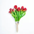 Red tulip flowers paint brush Creative floral flat lay