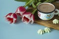 Red tulip white white border on blue background cacao cup marshmallow. Royalty Free Stock Photo