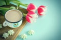 Red tulip white white border on blue background cacao cup marshmallow. Royalty Free Stock Photo