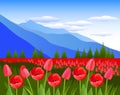 Red tulips against the background of mountains.