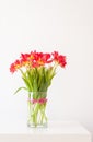 Red tulips. Beautiful flowers in a vase on soft light background