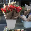 Red tulips Royalty Free Stock Photo