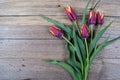 Red tulips bouquet on an antique wooden background. Royalty Free Stock Photo