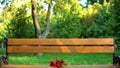 Red tulips bouquet park bench, love disappointment, broken heart, date failure Royalty Free Stock Photo