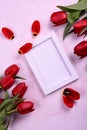 Red tulips bouquet, phone and white photo frame on pink background= Royalty Free Stock Photo