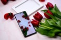 Red tulips bouquet, phone and white photo frame on pink background= Royalty Free Stock Photo