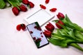 Red tulips bouquet, phone and white photo frame on pink background= Royalty Free Stock Photo