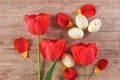 Red tulips cheerful Easter arrangement on light brown background