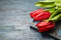 Red tulips