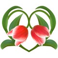 Red Tulips in Floral Heart for Valentine day. Love symbol in rom Royalty Free Stock Photo