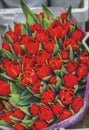 Red Tulips Flower Market Amsterdam Holland Netherlands Royalty Free Stock Photo