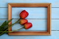 Red tulips with frame on blue wooden background