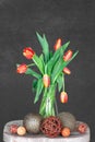 Red tulips in a glass vase. Royalty Free Stock Photo