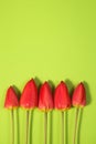 Red Tulips on green Color Background