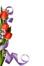 Red tulips with lilac flowers and silk ribbon in corner spring a Royalty Free Stock Photo