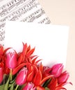 Red tulips with music sheet page Royalty Free Stock Photo