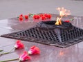 Red tulips near the eternal flame in memory of victims in the great Patriotic war Royalty Free Stock Photo