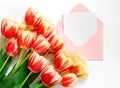 Red tulips and pink envelope with blank on white background Royalty Free Stock Photo