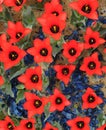 red tulips planted in a city park, flower bed Royalty Free Stock Photo