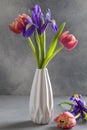 Red tulips and purple irises in white vase on gray background. Still life in the style of minimalism Royalty Free Stock Photo