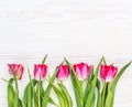 Red tulips in a row wooden background. Top view. Copy space Royalty Free Stock Photo