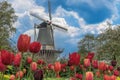 Red tulips and traditional windmill, Keukenhof Holland