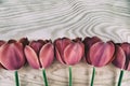 red tulips variety Adrem Royalty Free Stock Photo