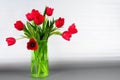 Red Tulips vase Royalty Free Stock Photo