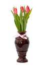 Red tulips in a vase isolated on white background