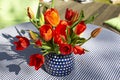 Red tulips in a vase on a sunny table Royalty Free Stock Photo