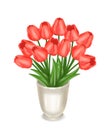 Red tulips in a flower vase. Vector realistic illustration, isolated Royalty Free Stock Photo