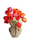 Red tulips vase wrapped in burlap Royalty Free Stock Photo