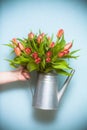 Red tulips in a watering can. Hand holds a vase with a huge elegant bouquet of red flowers Royalty Free Stock Photo