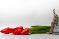 Red tulips in white bucket isolated on white background. Flowers and garden. Close-up Royalty Free Stock Photo