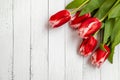 Red tulips with a white carved border lie on a white wooden table. Royalty Free Stock Photo