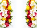 Red tulips and white daffodils on a white background. Spring flower arrangement. Royalty Free Stock Photo