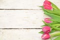 red Tulips on white rustic wooden background. Spring flowers. Spring background. Greeting card for Easter Royalty Free Stock Photo