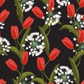 Red tulips and white spring flowers seamless pattern. Vector illustration. Royalty Free Stock Photo