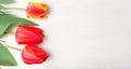 Red tulips on white wooden table Royalty Free Stock Photo