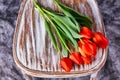 Red tulips on a wooden vintage chair Royalty Free Stock Photo