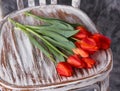 Red tulips on a wooden vintage old chair Royalty Free Stock Photo