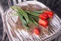 Red tulips on a wooden vintage old chair Royalty Free Stock Photo