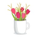 Red tulips and yellow mimosa flowers in white cup. Spring floral decoration vector illustration. Celebrating