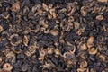 Red twisted tea leaves close-up. Chinese black tea is scattered on the table in large quantities. Golden spirals. view