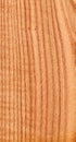 Red ukrainian oak (wood texture)